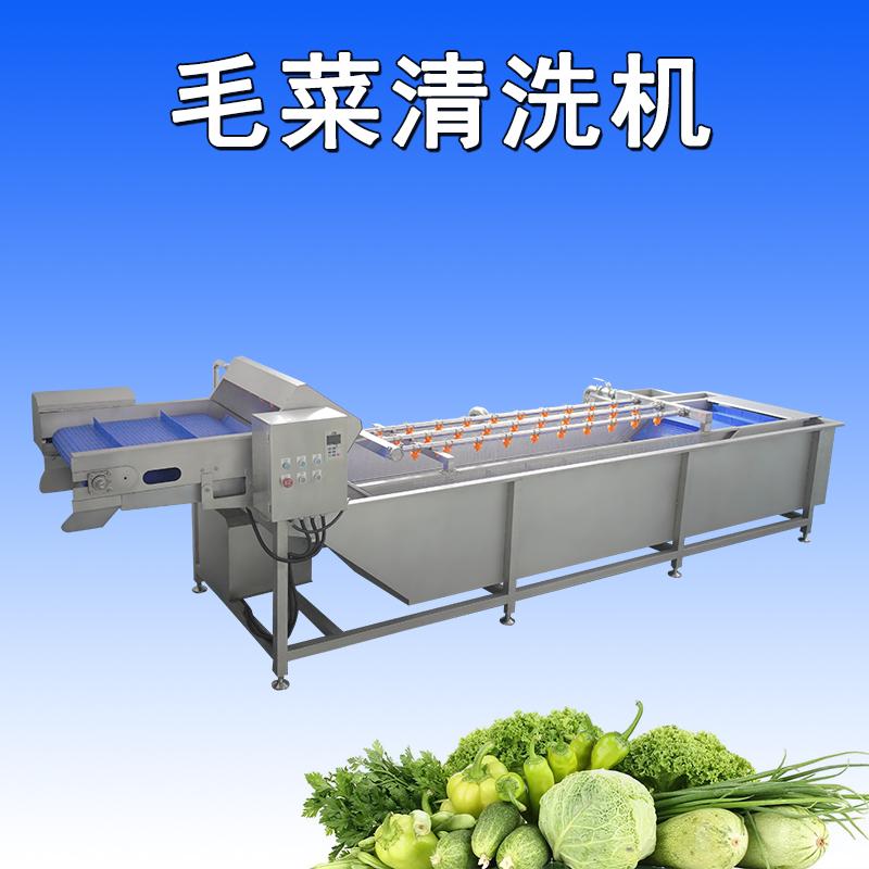 大型葉菜清洗機(jī)可將葉菜表面的污垢、沙粒和雜質(zhì)徹底清除